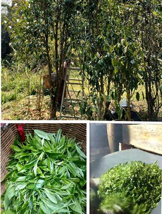 1599549985831091216.jpg 1.1.jpg