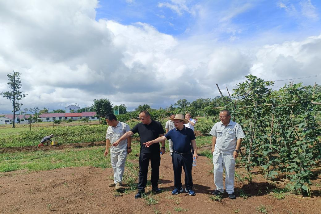 1760690897970089731.png 1760690897970089731.png